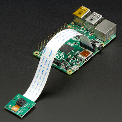 Raspberry camera